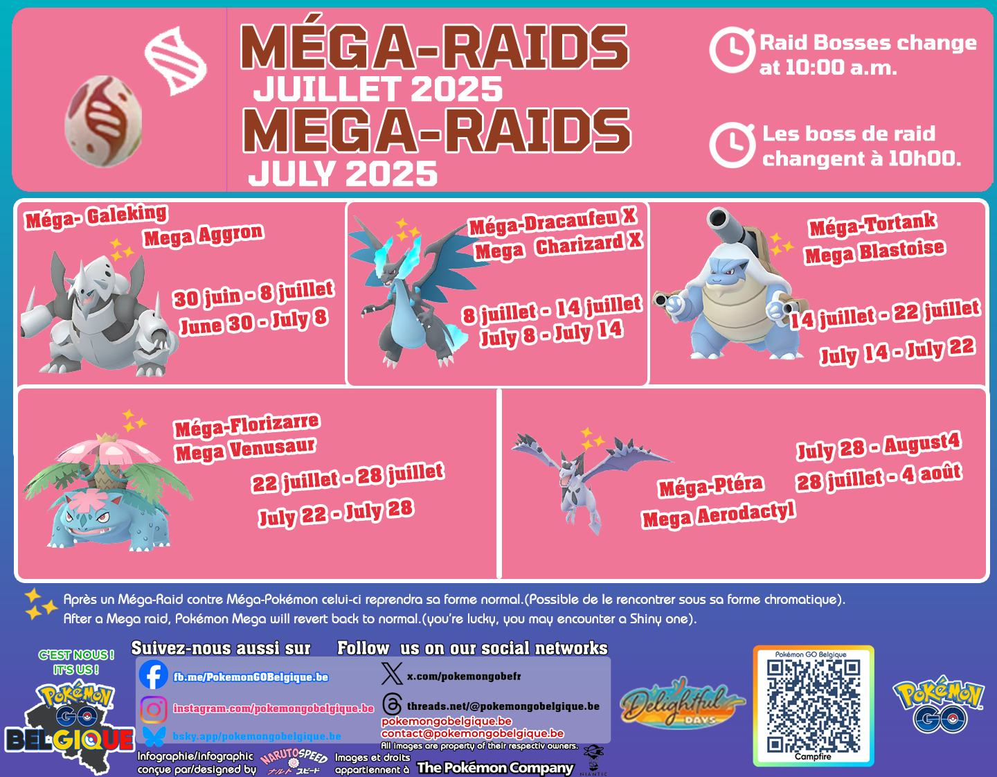 Mega-Raids